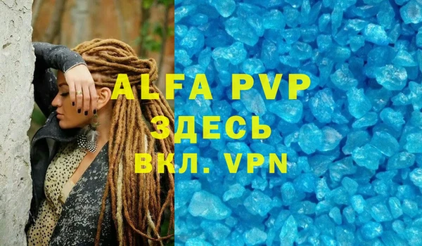 спиды Белокуриха
