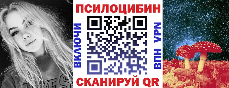 как найти закладки  даркнет телеграм  Галлюциногенные грибы MAGIC MUSHROOMS  Гороховец 